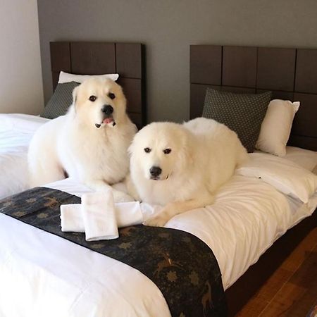 Hotel Miyajima Shiro Hatsukaichi Esterno foto